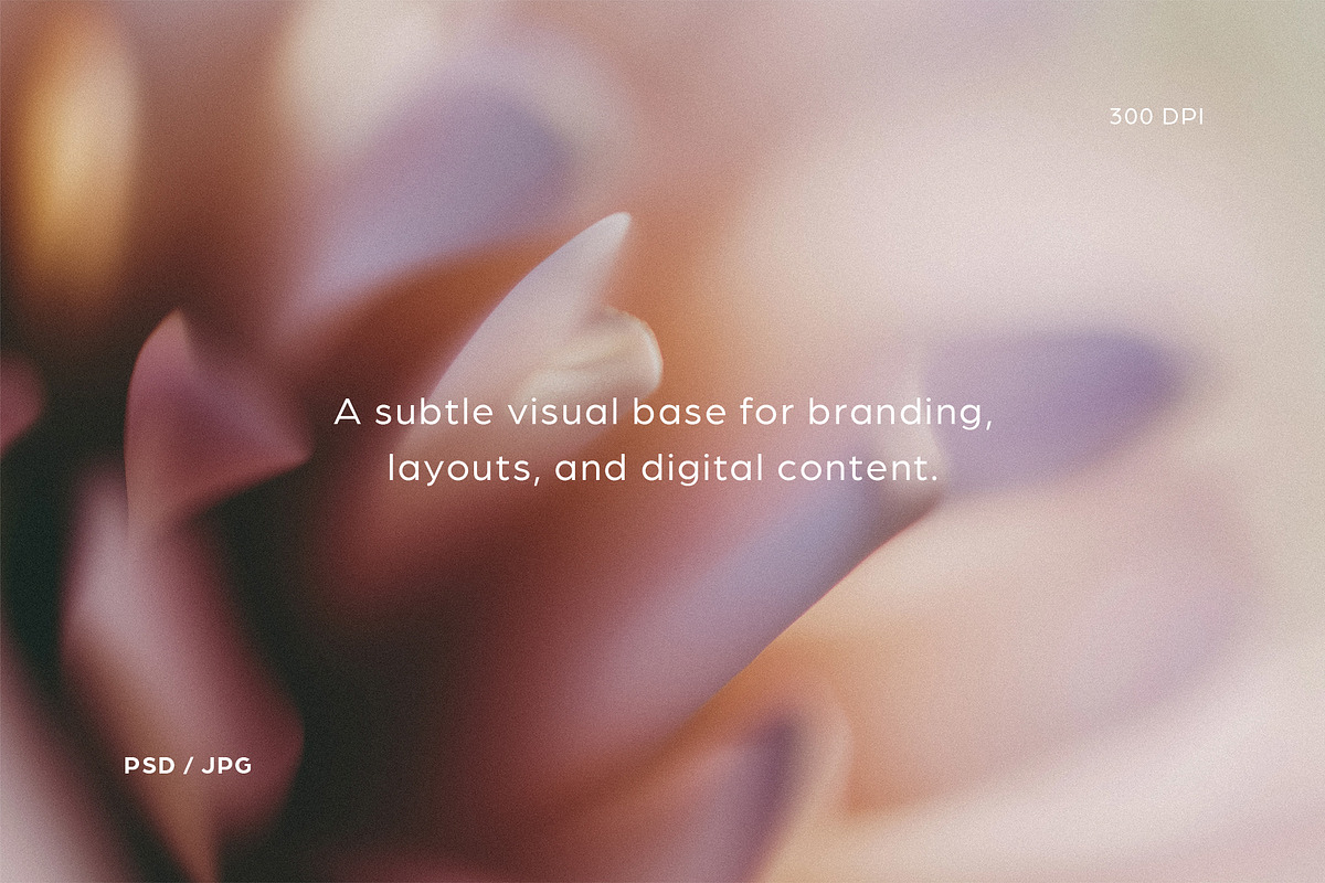Harmony – Soft Focus Backgrounds, a Texture Graphic by Filip Studio (Photo 4 of 8)