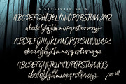 Sad Riff with 6 Stylistic Sets, a Script Font by Rad Fonts (Thumbnail 7 of 12)