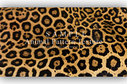 24 Animal Pattern Texture, a Background Graphic by NOMO DESIGN (Thumbnail 18 of 24)