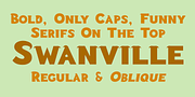 Swanville, a Font by Ingrimayne Type (Thumbnail 1 of 6)