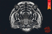 STAY WILD, an Animal Illustration by Artistic & Unique (Thumbnail 2 of 8)