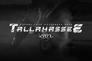 Liger - Sport Display Font, a Handwritten Font by Flawless And Co (Thumbnail 5 of 9)