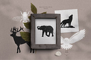 Celestial Animals, an Animal Illustration by PatrushevaYana (Thumbnail 5 of 10)