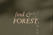 Late Eighties Font & Florals, a Serif Font by Creativeqube Design (Thumbnail 2 of 10)