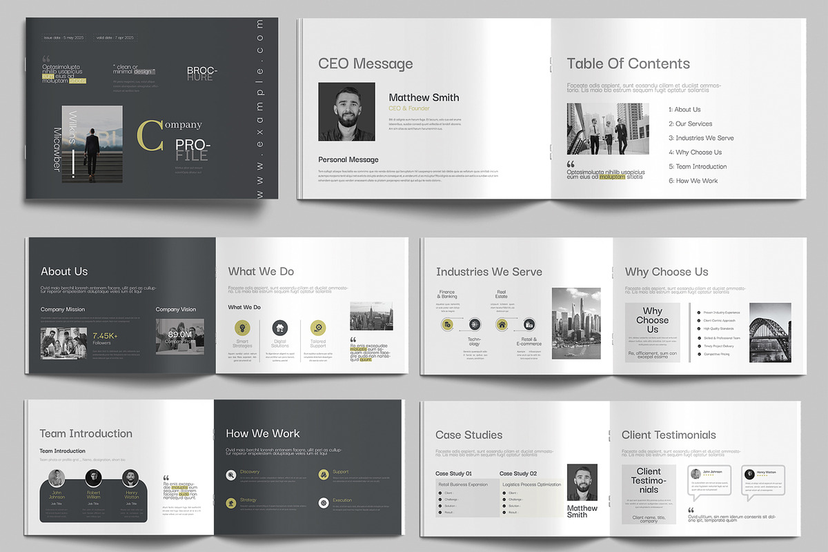 Professional Company Profile