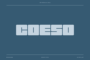 Coeso - Modern Condensed Typeface, a Font by Letterna (Thumbnail 1 of 4)
