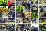 150 Photos + Bonus, a Templates & Theme by alyaphotoworks (Thumbnail 3 of 5)
