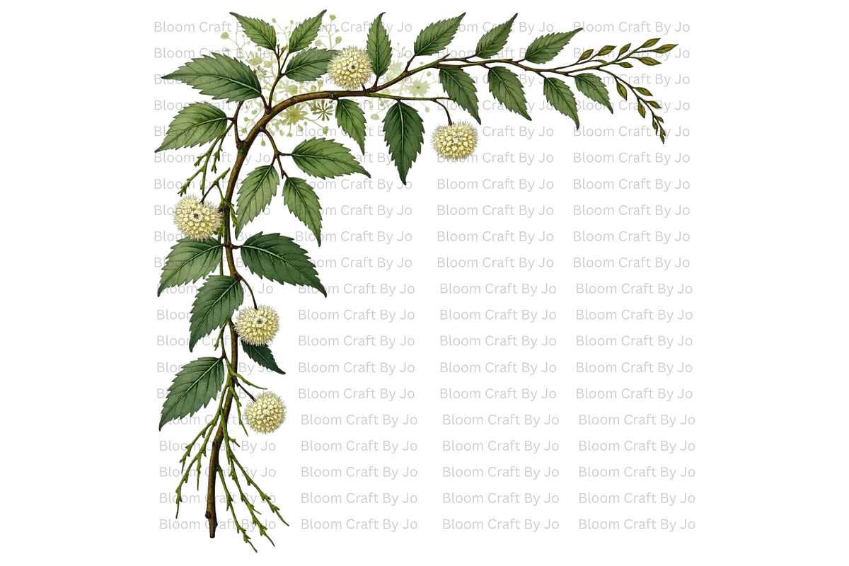 Hemlock Seed Pod, a Decorative Illustration by Bloom Craft Creations (Photo 9 of 13)