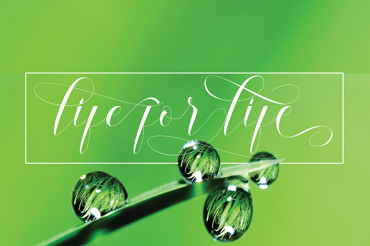 dermaga, a Script Font by NaldyStudio (Photo 10 of 14)