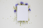 Mock up - card design - announcement, a Background Photo by Susa's pics (Thumbnail 2 of 2)