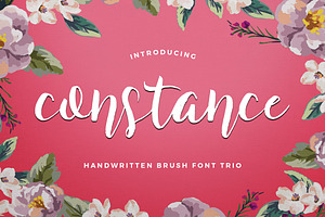 Constance Brush Font Trio