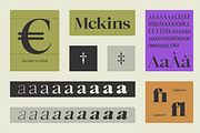 Mckins - Family Serif Font, a Serif Font by Marvadesign (Thumbnail 5 of 9)