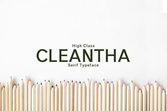 Cleantha Serif 5 Font Family Pack preview 7