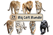 Individual Big Cats Bundle of 24, a Graphic by Jay Major Designs (Thumbnail 1 of 7)
