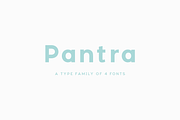 Pantra Type Family, a Sans Serif Font by Nicolas Desle (Thumbnail 1 of 9)