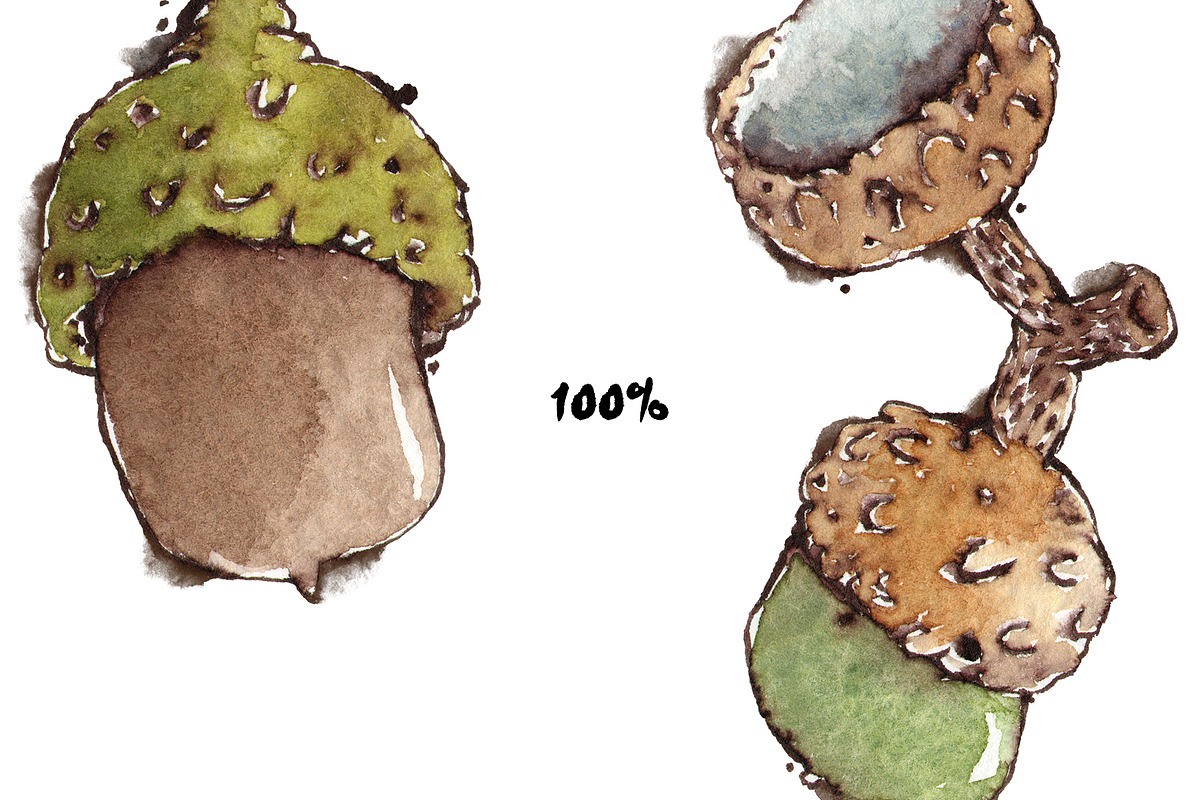 Acorns & Leaves Watercolor Patterns, a Pattern Graphic by Mazheika Store (Photo 2 of 9)