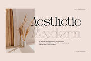 Basheq Vintage - Modern Serif, a Serif Font by Nirmana Visual (Thumbnail 3 of 18)