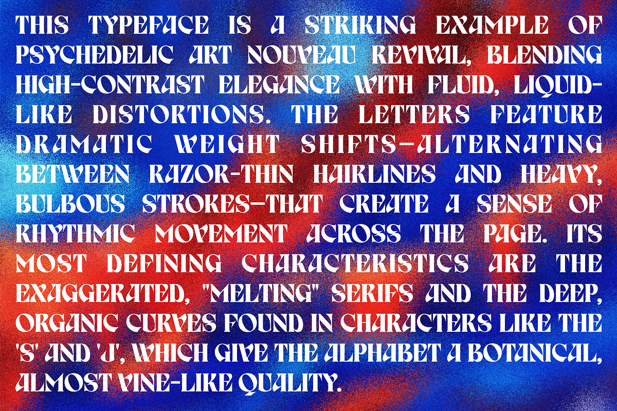 Birvase Display Font, a Serif Font by Bagerich Type Foundry (Photo 11 of 12)