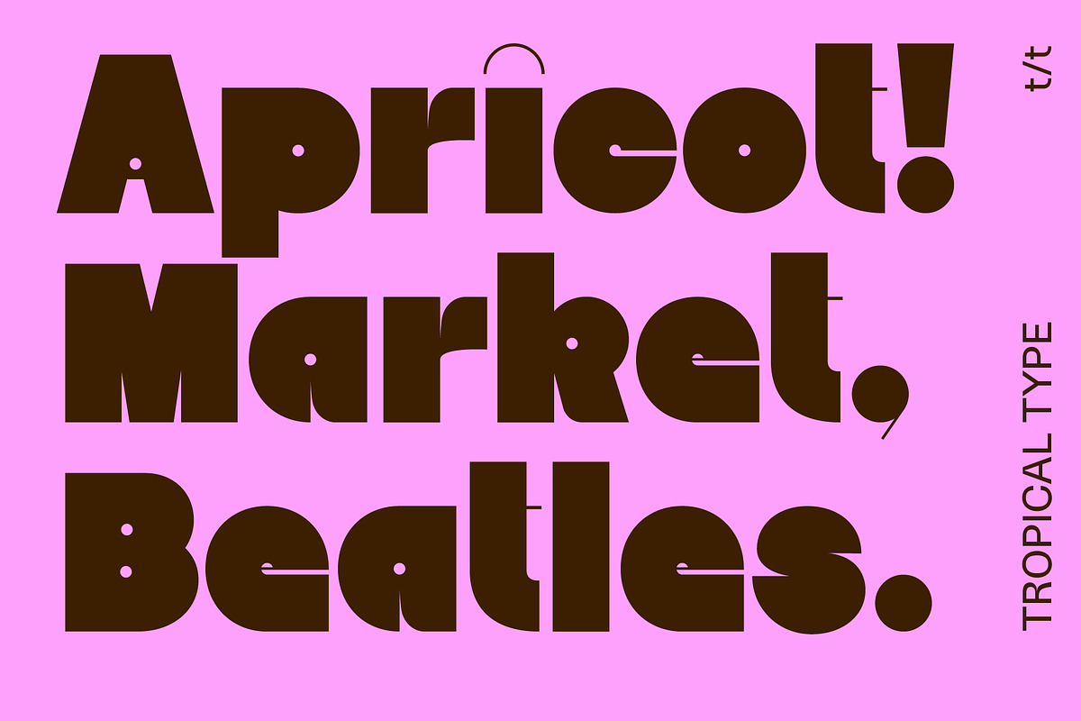 Willow Sans, a Sans Serif Font by Tropical Type (Photo 3 of 11)