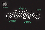 Sugar Cane, a Script Font by Uniontype (Thumbnail 4 of 8)