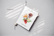 Watercolor Tropical Elegance, a Decorative Illustration by MayaNavits (Thumbnail 4 of 9)