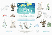The North. Watercolor Collection, an Animal Illustration by StarJam (Thumbnail 2 of 8)