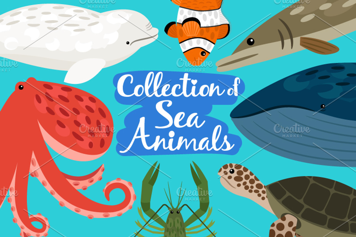 Sea animals set, an Object Graphic by ianakauri (Photo 1 of 4)