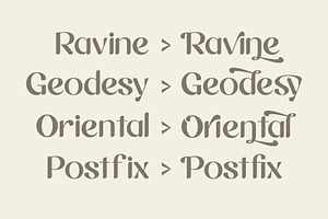 Vinery - Elegant Typeface