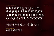 Cringe Elegant Serif Font, a Serif Font by Perfectype (Thumbnail 7 of 8)