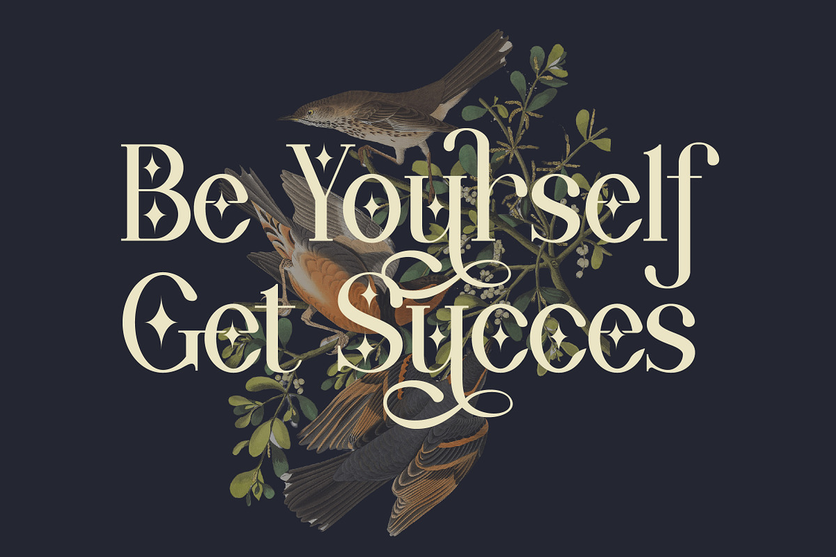 Wondernesia Nostalgic & Modern Serif, a Serif Font by Lettertype Studio (Photo 3 of 15)