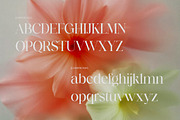 Barklie - A Nostalgic Serif Typeface, a Serif Font by Brand Earth (Thumbnail 2 of 8)