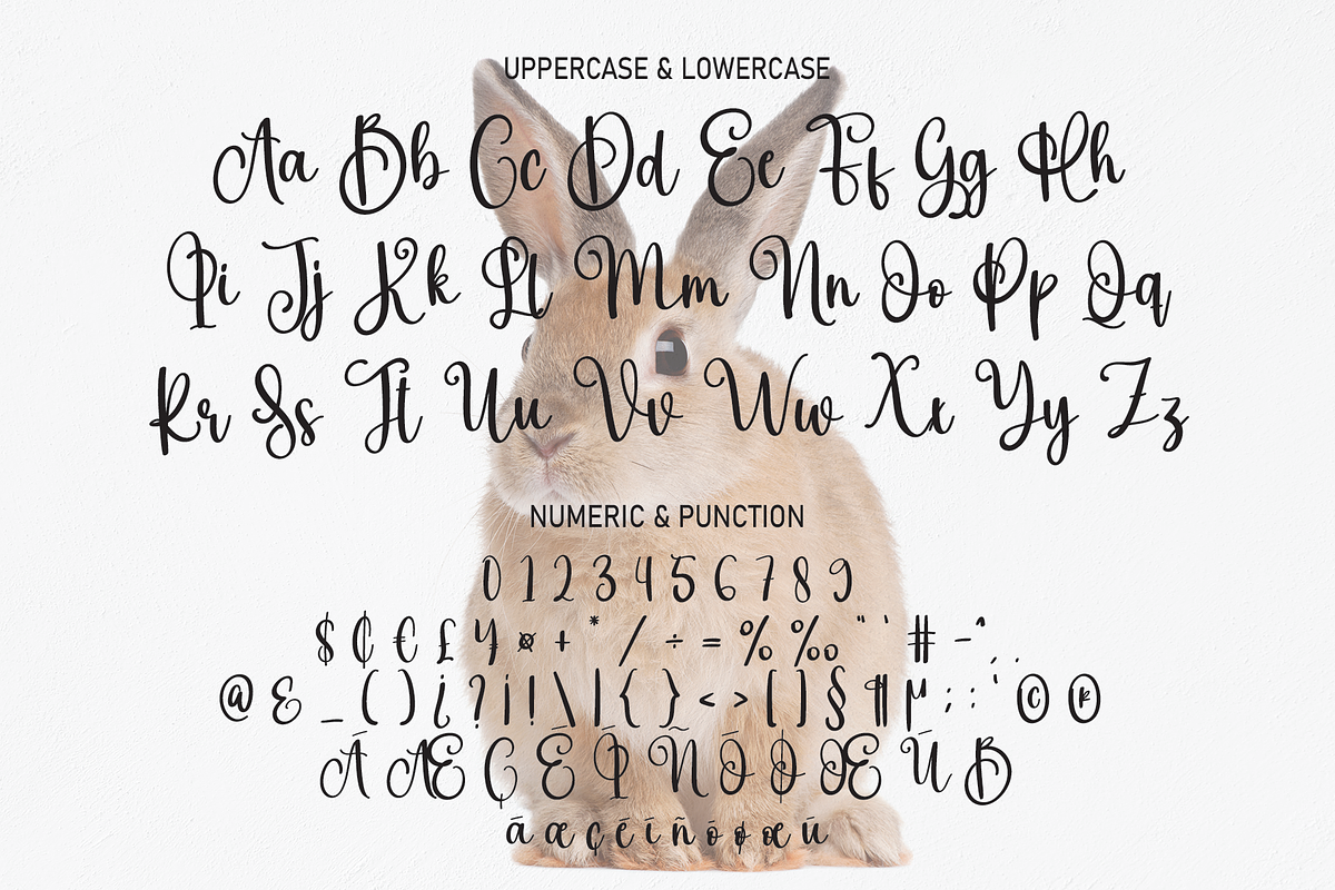 Bunny | Script Font, a Script Font by Scratchones (Photo 3 of 8)