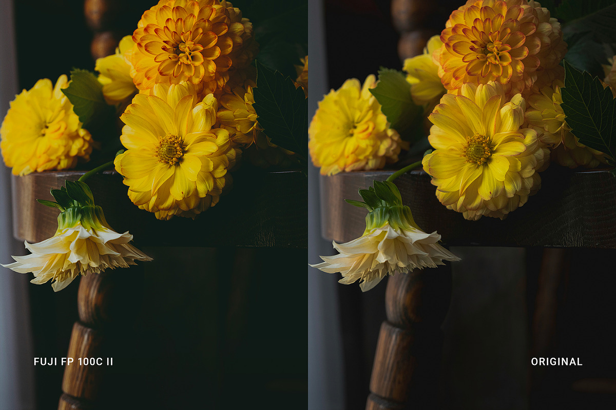 Fuji FP 100C II, a Preset Add-On by colorituals (Photo 7 of 9)
