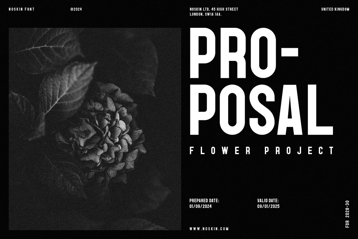 Noskin, a Sans Serif Font by Lemockup (Photo 5 of 9)