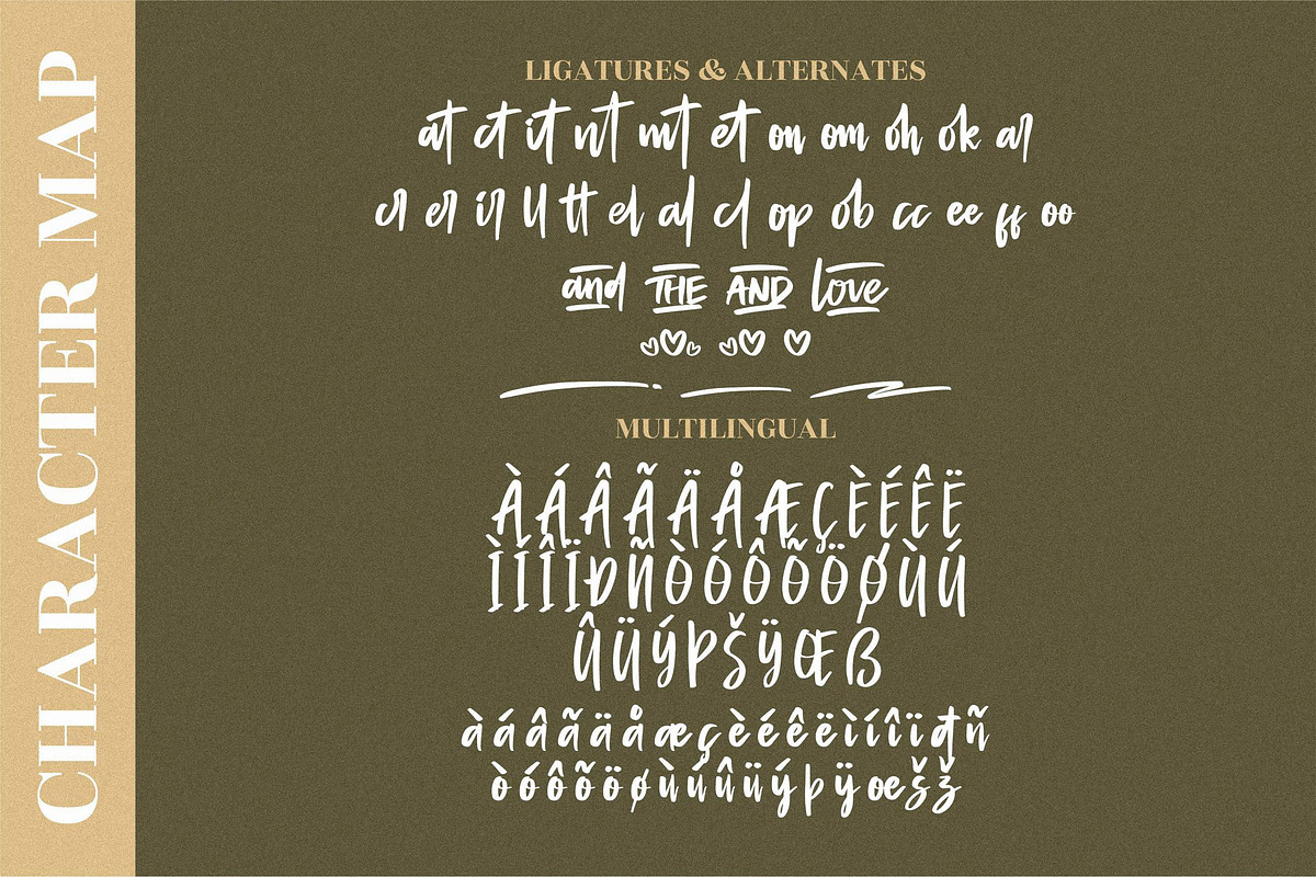 Amantaria Beauty Handwritten LS, a Script Font by GranzCreative (Photo 3 of 15)