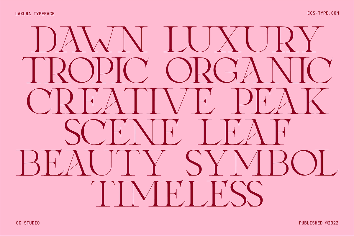Laxura – Elegant Ligature Serif Font, a Serif Font by CCS Type (Photo 4 of 16)