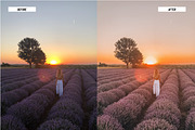 Lightroom Presets Vibrant Colors, an Action Add-On by Best Lightroom Presets (Thumbnail 17 of 20)