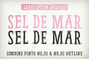 Hand Drawn Pinto NO_02 for Books, a Slab Serif Font by Georg Herold-Wildfellner (Thumbnail 2 of 9)