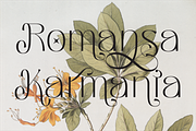 Melgis - Beauty Line & Simple Font, a Sans Serif Font by AuthenType (Thumbnail 14 of 15)