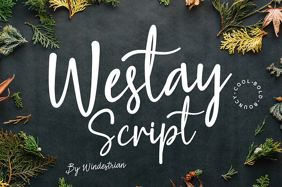 Westay Script | Bold Script preview 8