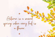 Autumn Fairy Signature Monoline Font, a Script Font by Giant Design (Thumbnail 5 of 10)