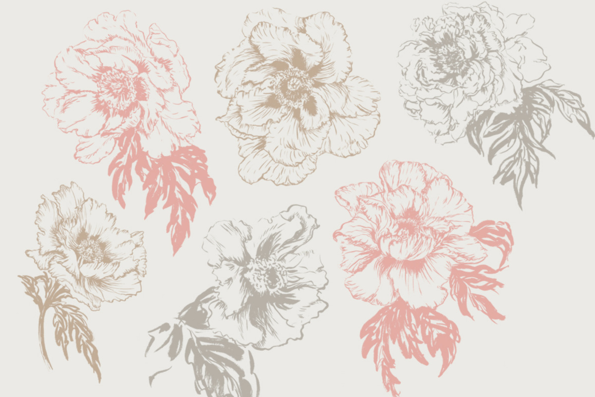 Handpainted Peony Brushes preview 2