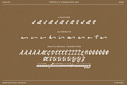 Crenalia Vintage Script Font, a Script Font by RantautypeStudio (Thumbnail 17 of 17)
