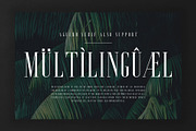 Aguero Serif - Clean & Elegant Font, a Serif Font by Craft Supply Co. (Thumbnail 6 of 9)