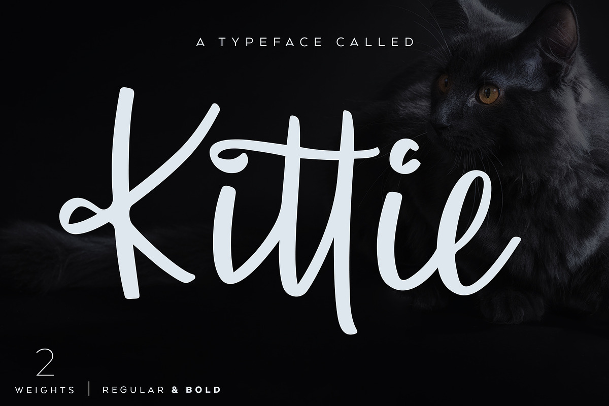 Kittie | Regular & Bold