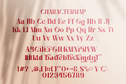 Karida || Bold Stylish Serif Font, a Serif Font by Idea Studio (Thumbnail 8 of 10)