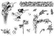 Procreate Botanical Collection, a Brush Add-On by AW Studios (Thumbnail 2 of 6)