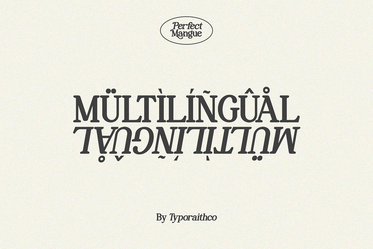 Perfect Mangue | Serif Duo Font, a Serif Font by Typoraith Co (Photo 9 of 10)