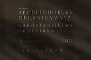 Thamy Elegant Serif Font, a Serif Font by Perfectype (Thumbnail 7 of 8)