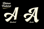 Pitcher - baseball script, a Script Font by Fenotype (Thumbnail 7 of 12)